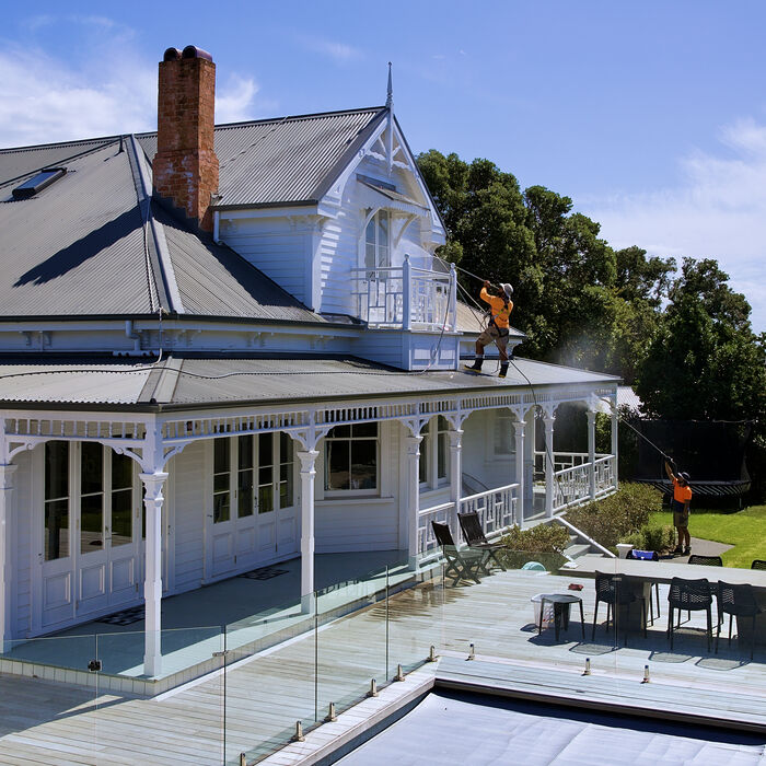 Roof wash and moss treatment
