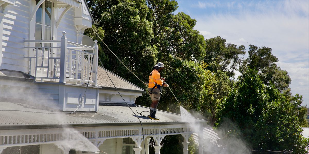 Gutter cleaning